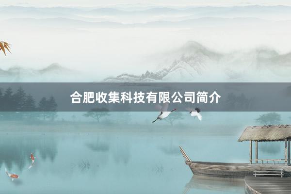 合肥收集科技有限公司简介